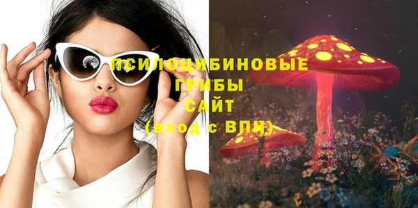 гашик Нязепетровск