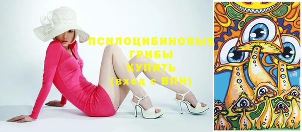 гашик Нязепетровск