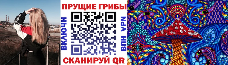 Псилоцибиновые грибы ЛСД  Починок 